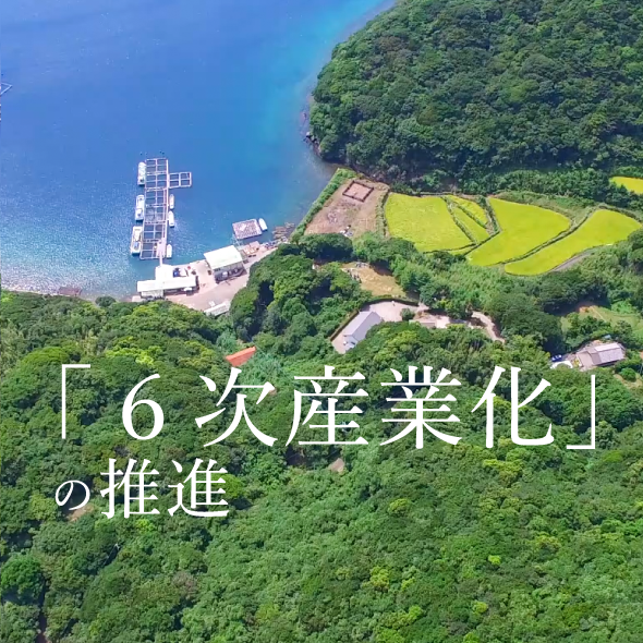 東京一番フーズ 株式会社 東京一番フーズ｜コーポレートサイト