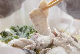 Swimming Tecchiri(Torafugu hot pot)