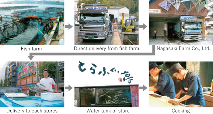 Distribution of ingredients