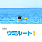6品目 ウミルート採用